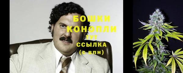 гашик Лихославль