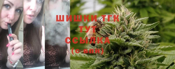 гашик Лихославль