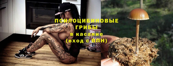 гашик Лихославль