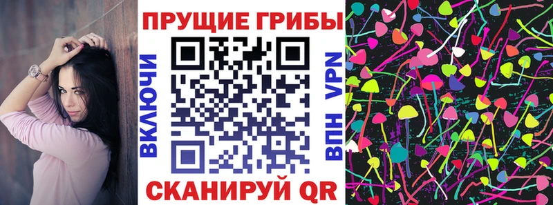 Псилоцибиновые грибы Magic Shrooms  даркнет сайт  Красногорск 