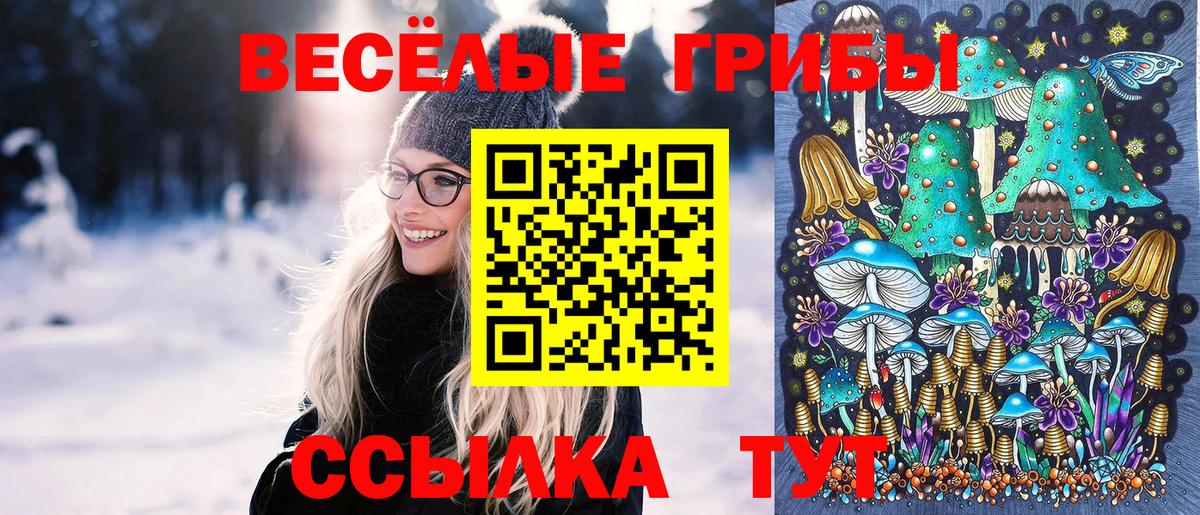 Красногорск  Псилоцибиновые грибы ЛСД  Псилоцибиновые грибы MAGIC MUSHROOMS  Вход с VPN 